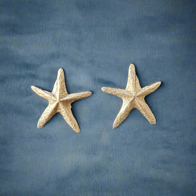 Combo of 3 - Ocean Treasure