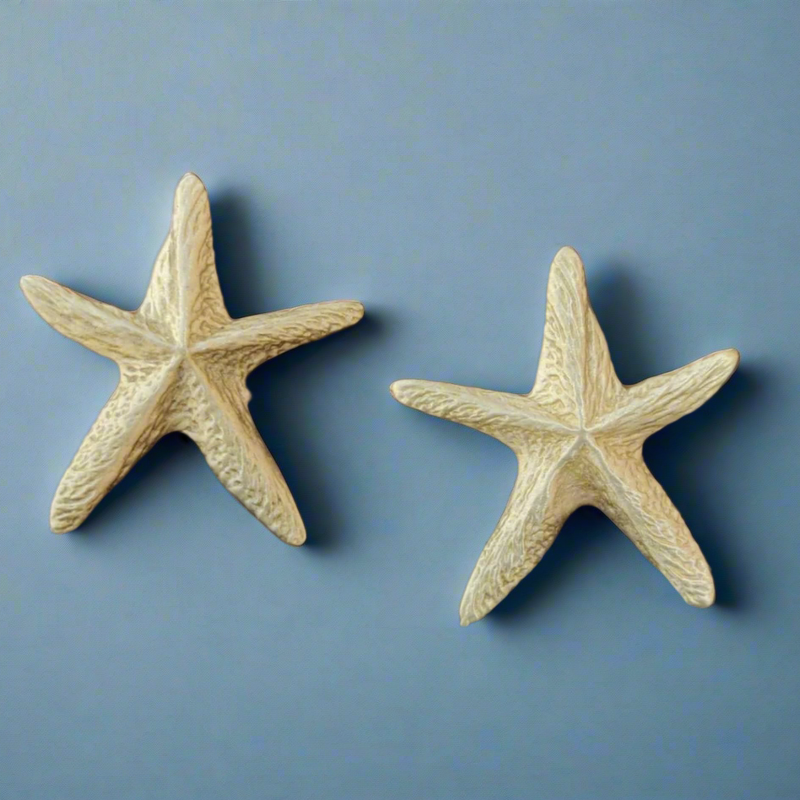 Casted Brass Textured Star Stud Earrings